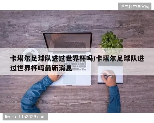 卡塔尔赛事经验表明数字化门票关联生物特征能大幅消解进场排队压力